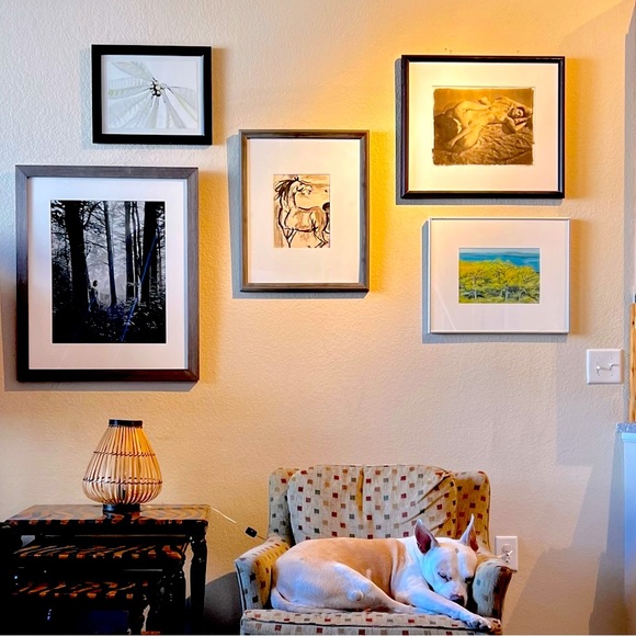 Meet your Posher, Rebecca - Picture 7 of 9